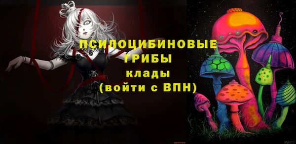 гашик Армянск